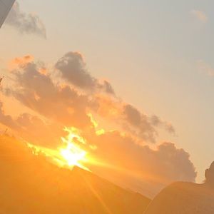 Meet your Posher, Addison